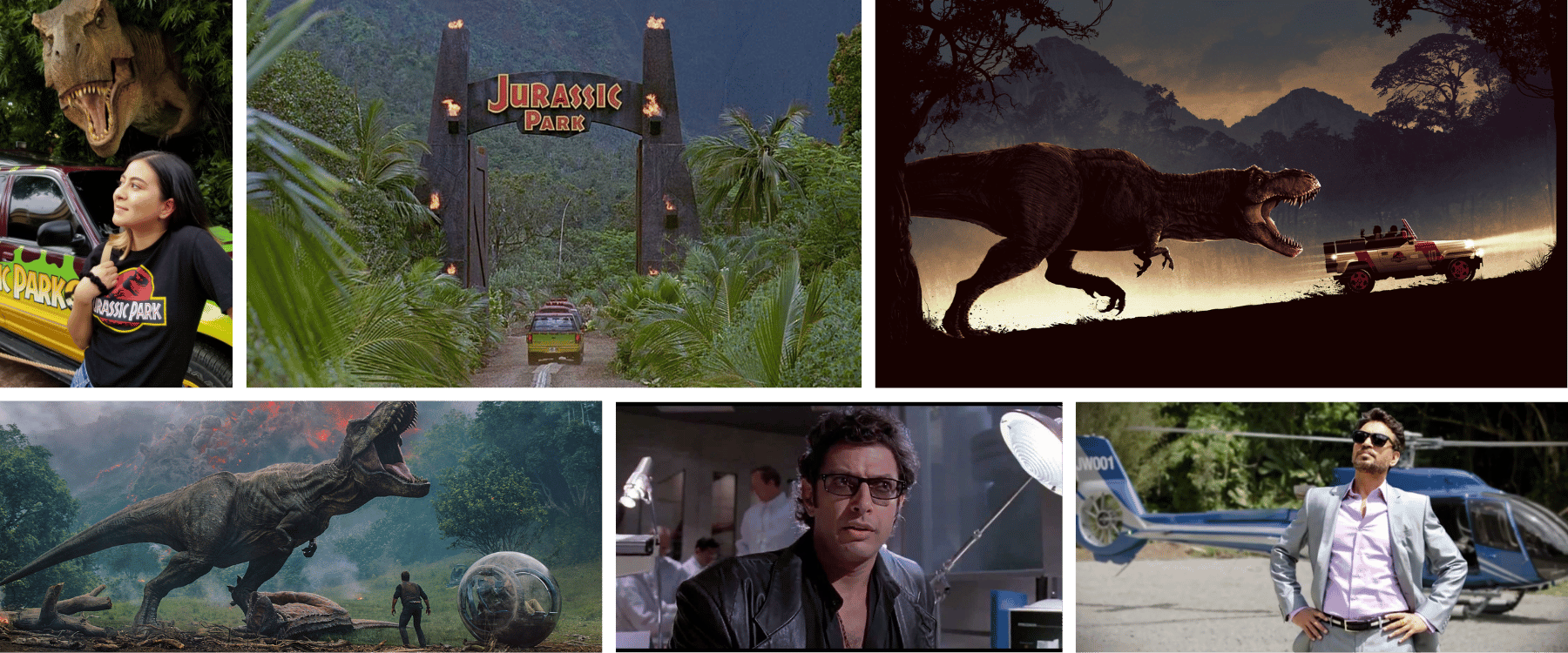 Collage of images of the Jurassic Park movie used in my Jurassic Parkfolio project