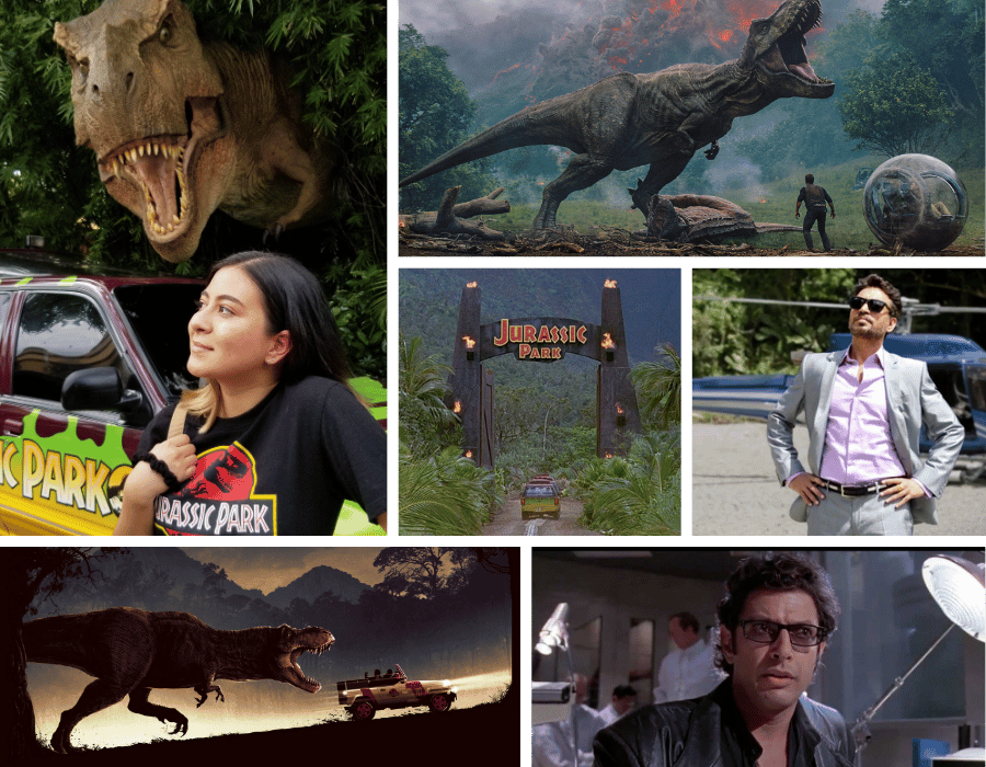 Collage of images of the Jurassic Park movie used in my Jurassic Parkfolio project